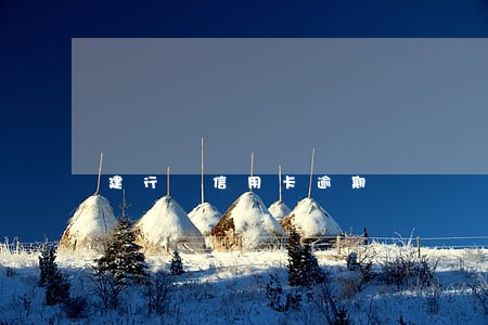 建行 信用卡逾期 建行 信用卡逾期